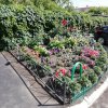 IMG_20180804_142911